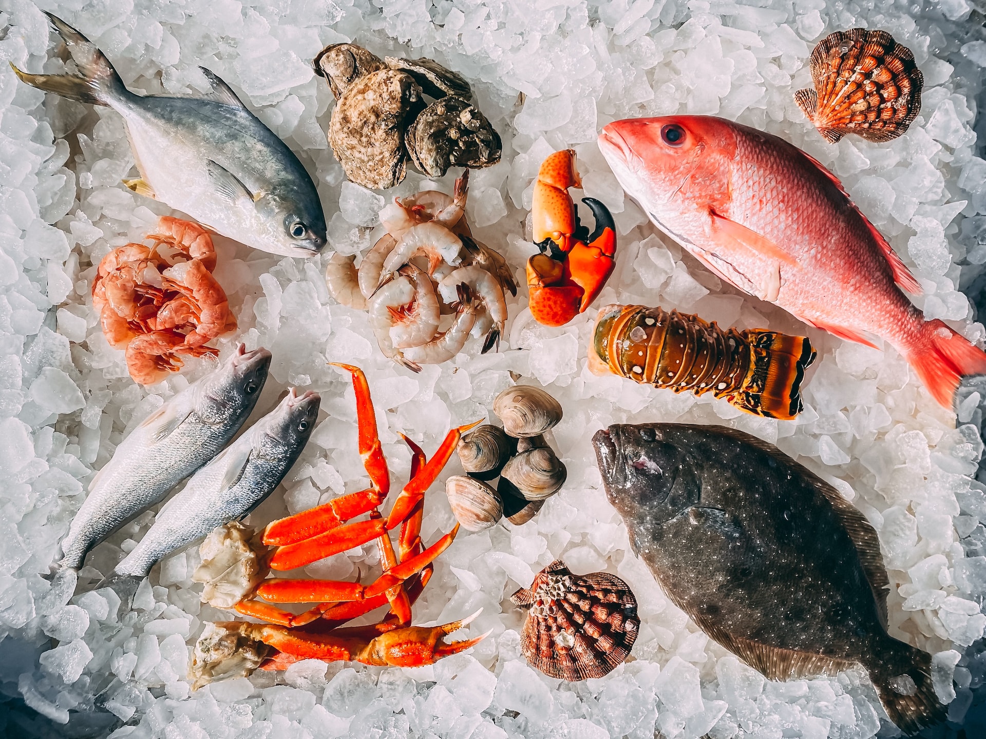 Savoring the Sea’s Bounty at Cornelius Seafood Restaurant in Bergen, Norway